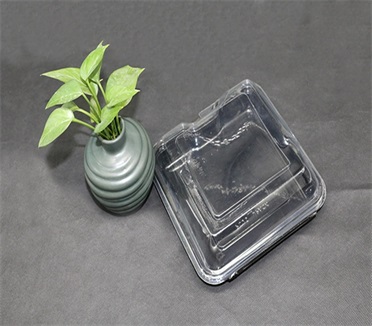 91免费视频观看盒