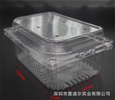 透明91免费视频观看