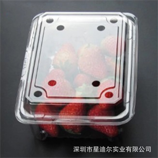 水果91免费视频观看