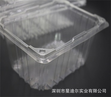 透明91免费视频观看